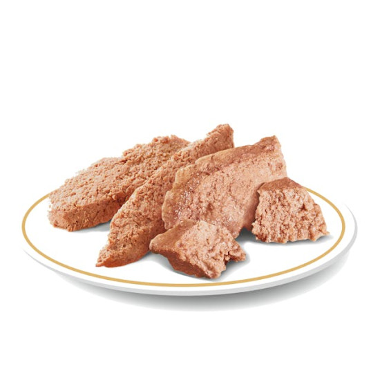 Royal Canin Yorkshire Terrier Adult – Hrană Umedă Pate pentru Câini Adulți din Rasa Yorkshire Terrier – 85 g